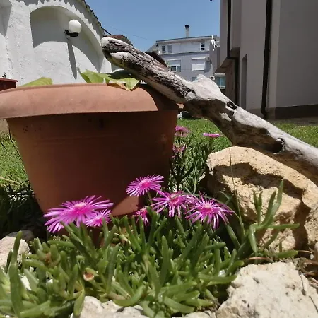 Siana House Πανσιόν