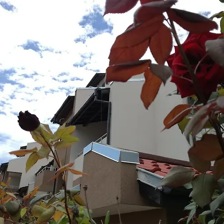 Πανσιόν Siana House Ράβντα