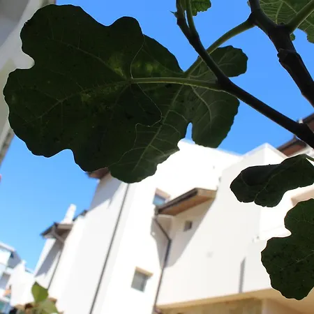 Πανσιόν Siana House