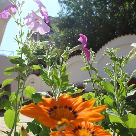 Siana House 2*
